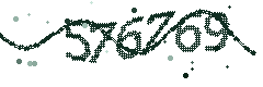 Image with the verification code