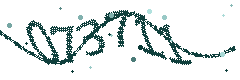 Image with the verification code