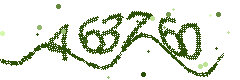 Image with the verification code