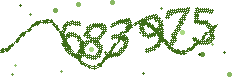 Image with the verification code