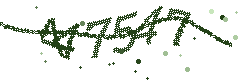 Image with the verification code