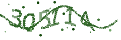 Image with the verification code