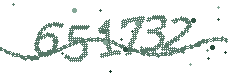 Image with the verification code