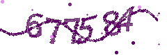 Image with the verification code