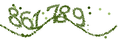 Image with the verification code