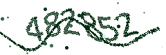 Image with the verification code