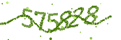 Image with the verification code