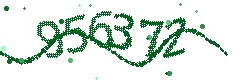 Security verification code