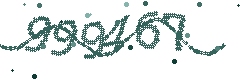 Security verification code