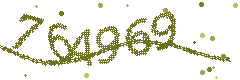 Security verification code