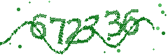 Image with the verification code