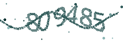 Security verification code