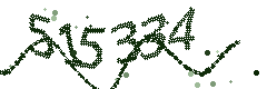 Image with the verification code