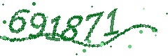 Image with the verification code