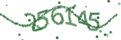 Image with the verification code