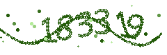 Image with the verification code