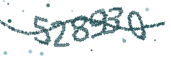 Image with the verification code