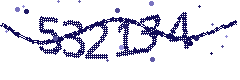 Image with the verification code