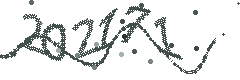 Image with the verification code