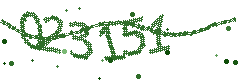 Image with the verification code