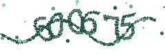 Security verification code
