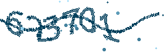 Security verification code