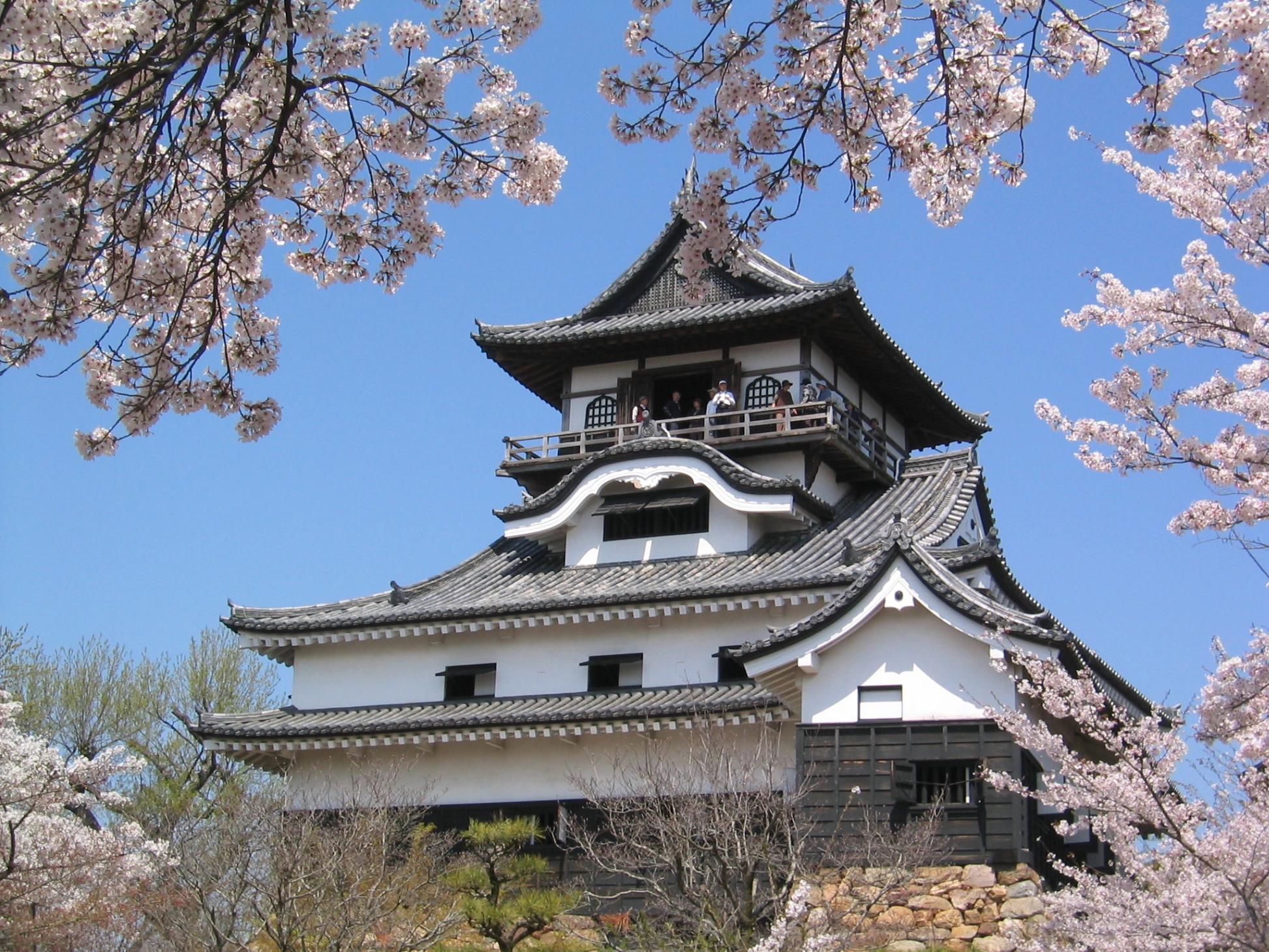 Japan has determined the Winners of the Country Stage of the V International Contest "Leader of Public Diplomacy"